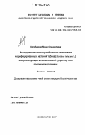 Колодяжная, Янина Станиславна. Исследование стрессоустойчивости генетически модифицированных растений табака (Nicotiana tabacum L.), экспрессирующих антисмысловой супрессор гена пролиндегидрогеназы: дис. кандидат биологических наук: 03.00.15 - Генетика. Новосибирск. 2007. 97 с.