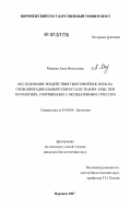 Макеева, Анна Витальевна. Исследование воздействия тиоктовой кислоты на свободнорадикальный гомеостаз в тканях крыс при патологиях, сопряженных с оксидативным стрессом: дис. кандидат биологических наук: 03.00.04 - Биохимия. Воронеж. 2007. 203 с.