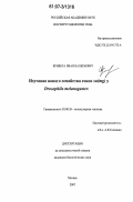 Кривега, Иван Валерьевич. Изучение нового семейства генов su(mg) у Drosophila melanogaster: дис. кандидат биологических наук: 03.00.26 - Молекулярная генетика. Москва. 2007. 126 с.