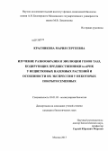 Красникова, Мария Сергеевна. Изучение разнообразия и эволюции генов TAS3, кодирующих предшественники ta-siРНК у нецветковых наземных растений и особенности их экспрессии у некоторых покрытосеменных: дис. кандидат биологических наук: 03.01.03 - Молекулярная биология. Москва. 2013. 94 с.