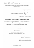 Немилостив, Юрий Павлович. Изучение сортимента и разработка сортовой агротехники возделывания огурца в условиях Приамурья: дис. кандидат сельскохозяйственных наук: 06.01.09 - Растениеводство. Благовещенск. 2000. 182 с.