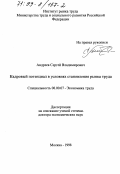 Андреев, Сергей Владимирович. Кадровый потенциал в условиях становления рынка труда: дис. доктор экономических наук: 08.00.07 - Экономика труда. Москва. 1998. 339 с.