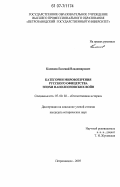 Каменев, Евгений Владимирович. Категории мировоззрения русского офицерства эпохи наполеоновских войн: дис. кандидат исторических наук: 07.00.02 - Отечественная история. Петрозаводск. 2007. 182 с.