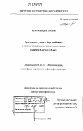 Куляскина, Ирина Юрьевна. Христианское учение о Царстве Божьем в русском внецерковном философском теизме конца XIX - начала XX вв.: дис. доктор философских наук: 09.00.13 - Философия и история религии, философская антропология, философия культуры. Благовещенск. 2006. 369 с.
