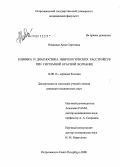 Новицкая, Анна Сергеевна. Клиника и диагностика неврологических расстройств при системной красной волчанке: дис. кандидат медицинских наук: 14.00.13 - Нервные болезни. Санкт-Петербург. 2008. 127 с.