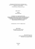 Гусев, Сергей Иванович. Клинико-патодинамические, социально-психологические закономерности формирования ремиссий и реабилитация больных наркоманиями в условиях пенитенциарной изоляции: дис. доктор медицинских наук: 14.01.27 - Наркология. Томск. 2010. 349 с.