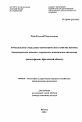 Майн, Евгений Рейнгольдович. Комплексное социально-экономическое развитие региона (на материалах Ярославской области): дис. доктор экономических наук: 00.00.00 - Другие cпециальности. Москва. 2001. 361 с.