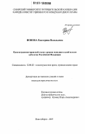 Ионова, Екатерина Васильевна. Конституционно-правовой статус органов исполнительной власти субъектов Российской Федерации: дис. кандидат юридических наук: 12.00.02 - Конституционное право; муниципальное право. Новосибирск. 2007. 226 с.
