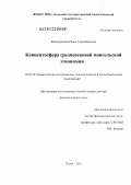 Жамсаранова, Раиса Гандыбаловна. Концептосфера средневековой монгольской этнонимии: дис. доктор филологических наук: 10.02.20 - Сравнительно-историческое, типологическое и сопоставительное языкознание. Томск. 2011. 403 с.