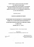 Сапон, Владимир Петрович. Концепция революционного освобождения общества в теоретических воззрениях и политической практике российских левых радикалов: конец XIX в. - 1918 г.: дис. доктор исторических наук: 07.00.02 - Отечественная история. Нижний Новгород. 2008. 587 с.
