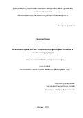 Джавиш Осман. Концепция веры и разума в средневековой философии: эволюция и основные интерпретации: дис. кандидат наук: 09.00.03 - История философии. ФГБОУ ВО «Московский педагогический государственный университет». 2021. 212 с.