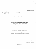 Черняева, Ксения Олеговна. Культурная идентификация в условиях глобализации: случай социальных сетей: дис. кандидат социологических наук: 22.00.06 - Социология культуры, духовной жизни. Саратов. 2010. 141 с.
