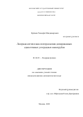 Ерёмин Тимофей Владимирович. Лазерная оптическая спектроскопия допированных одностенных углеродных нанотрубок: дис. кандидат наук: 01.04.21 - Лазерная физика. ФГБОУ ВО «Московский государственный университет имени М.В. Ломоносова». 2021. 112 с.