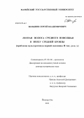Большов, Сергей Владимирович. Лесная полоса Среднего Поволжья в эпоху средней бронзы: проблемы культурогенеза первой половины II тыс. до н.э.: дис. доктор исторических наук: 07.00.06 - Археология. Йошкар-Ола. 2011. 543 с.