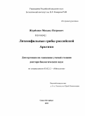 Журбенко, Михаил Петрович. Лихенофильные грибы российской Арктики: дис. доктор биологических наук: 03.02.12 - Микология. Санкт-Петербург. 2010. 354 с.