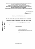 Косинов, Дмитрий Анатольевич. Макролокализация пластического течения в горячекатаной низкоуглеродистой стали: дис. кандидат наук: 01.04.07 - Физика конденсированного состояния. Новокузнецк. 2014. 162 с.