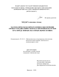 Ходар Алмосана Ахмад. Математическое и программное обеспечение процессов динамической балансировки нагрузки в распределенных облачных вычислениях: дис. кандидат наук: 05.13.11 - Математическое и программное обеспечение вычислительных машин, комплексов и компьютерных сетей. ФГБОУ ВО «Воронежский государственный технический университет». 2020. 124 с.