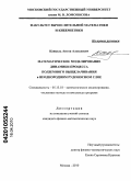 Канцель, Антон Алексеевич. Математическое моделирование динамики процесса подземного выщелачивания в неоднородном рудоносном слое: дис. кандидат физико-математических наук: 05.13.18 - Математическое моделирование, численные методы и комплексы программ. Москва. 2010. 127 с.