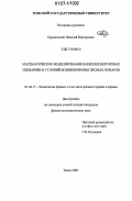 Барановский, Николай Викторович. Математическое моделирование наиболее вероятных сценариев и условий возникновения лесных пожаров: дис. кандидат физико-математических наук: 05.13.18 - Математическое моделирование, численные методы и комплексы программ. Томск. 2007. 153 с.