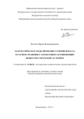 Волик Мария Владимировна. Математическое моделирование течения воздуха и распространения газообразных загрязняющих веществ в городской застройке: дис. кандидат наук: 25.00.30 - Метеорология, климатология, агрометеорология. ФГБУ «Высокогорный геофизический институт». 2017. 135 с.