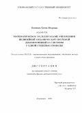 Беликова, Елена Игоревна. Математическое моделирование управления нелинейной механической системой декомпозицией на системы с одной степенью свободы: дис. кандидат физико-математических наук: 05.13.18 - Математическое моделирование, численные методы и комплексы программ. Ульяновск. 2008. 112 с.