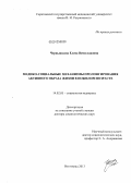 Чернышкова, Елена Вячеславовна. Медико-социальные механизмы пролонгирования активного образа жизни в пожилом возрасте: дис. доктор социологических наук: 14.02.05 - Социология медицины. Волгоград. 2013. 448 с.