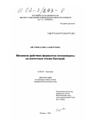 Бегунова, Елена Альбертовна. Механизм действия ферментов лизоамидазы на клеточные стенки бактерий: дис. кандидат биологических наук: 03.00.04 - Биохимия. Пущино. 2001. 125 с.