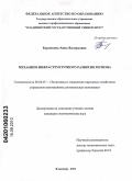 Боровкова, Анна Валерьевна. Механизм инфраструктурного развития региона: дис. кандидат экономических наук: 08.00.05 - Экономика и управление народным хозяйством: теория управления экономическими системами; макроэкономика; экономика, организация и управление предприятиями, отраслями, комплексами; управление инновациями; региональная экономика; логистика; экономика труда. Владимир. 2010. 218 с.