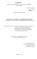 Черных, Анна Викторовна. Механизм устойчивого развития предприятия в период активной инвестиционной деятельности: дис. кандидат экономических наук: 08.00.05 - Экономика и управление народным хозяйством: теория управления экономическими системами; макроэкономика; экономика, организация и управление предприятиями, отраслями, комплексами; управление инновациями; региональная экономика; логистика; экономика труда. Белгород. 2006. 211 с.