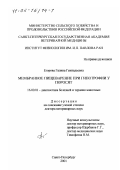 Егорова, Галина Геннадьевна. Мембранное пищеварение при гипотрофии у поросят: дис. доктор ветеринарных наук: 16.00.01 - Диагностика болезней и терапия животных. Санкт-Петербург. 2001. 298 с.