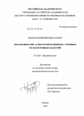 Федоров, Дмитрий Николаевич. Метаболические аспекты фитосимбиоза аэробных метилотрофных бактерий: дис. кандидат биологических наук: 03.02.03 - Микробиология. Пущино. 2010. 124 с.