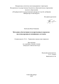 Кобозева Нона Гивиевна. Методика обеспечения государственных перевозок железнодорожным подвижным составом: дис. кандидат наук: 00.00.00 - Другие cпециальности. ФГБОУ ВО «Курская государственная сельскохозяйственная академия имени И.И. Иванова». 2025. 210 с.