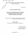 Нелидов, Андрей Витальевич. Методология формирования и управления стратегиями развития территориально-производственных образований: дис. доктор экономических наук: 08.00.05 - Экономика и управление народным хозяйством: теория управления экономическими системами; макроэкономика; экономика, организация и управление предприятиями, отраслями, комплексами; управление инновациями; региональная экономика; логистика; экономика труда. Санкт-Петербург. 2003. 279 с.
