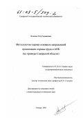 Яговкин, Петр Германович. Методология оценки основных направлений организации охраны труда в АПК: На примере Самарской области: дис. кандидат технических наук: 05.26.01 - Охрана труда (по отраслям). Самара. 2002. 149 с.