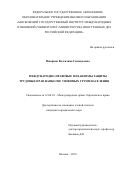 Микрина Валентина Геннадьевна. Международно-правовые механизмы трудовых прав наиболее уязвимых групп населения: дис. кандидат наук: 12.00.10 - Международное право, Европейское право. ФГАОУ ВО «Московский государственный институт международных отношений (университет) Министерства иностранных дел Российской Федерации». 2019. 197 с.