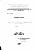 Бузель, Игорь Георгиевич. Микрохирургическая реконструкция беспалой кисти у раненых: дис. кандидат медицинских наук: 14.00.27 - Хирургия. Москва. 2003. 153 с.