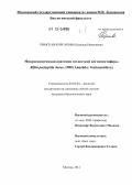 Римская-Корсакова, Надежда Николаевна. Микроскопическая анатомия гигантской вестиментиферы Riftia pachyptila Jones, 1980 (Annelida: Vestimentifera): дис. кандидат биологических наук: 03.02.04 - Зоология. Москва. 2012. 433 с.