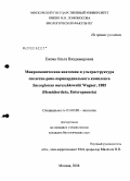 Ежова, Ольга Владимировна. Микроскопическая анатомия и ультраструктура скелетно-рено-перикардиального комплекса Saccoglossus mereschkowskii Wagner, 1885 (Hemichordata, Enteropneusta): дис. кандидат биологических наук: 03.00.08 - Зоология. Москва. 2008. 209 с.