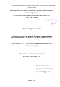 Кудинов Игорь Алексеевич. Многопользовательская мультиспектральная информационная система панорамного обзора: дис. кандидат наук: 00.00.00 - Другие cпециальности. ФГБОУ ВО «Пензенский государственный университет». 2023. 177 с.