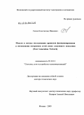 Сычев, Константин Иванович. Модели и методы исследования процессов функционирования и оптимизации построения сетей связи следующего поколения (Next Generation Network): дис. доктор технических наук: 05.12.13 - Системы, сети и устройства телекоммуникаций. Москва. 2009. 385 с.