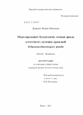 Давидич, Мария Ивановна. Моделирование булевскими сетями цикла клеточного деления Schizosaccharomyces pombe: дис. кандидат физико-математических наук: 03.01.02 - Биофизика. Курск. 2011. 115 с.