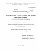 Жучков, Сергей Юрьевич. Моделирование кислотного воздействия на призабойную зону горизонтальной скважины: дис. кандидат технических наук: 05.13.18 - Математическое моделирование, численные методы и комплексы программ. Москва. 2013. 100 с.