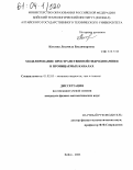 Китаева, Людмила Владимировна. Моделирование пространственной гидродинамики в проницаемых каналах: дис. кандидат физико-математических наук: 01.02.05 - Механика жидкости, газа и плазмы. Бийск. 2003. 118 с.