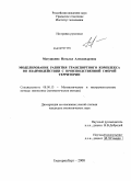 Матушкина, Наталья Александровна. Моделирование развития транспортного комплекса во взаимодействии с производственной сферой территории: дис. кандидат экономических наук: 08.00.13 - Математические и инструментальные методы экономики. Екатеринбург. 2008. 262 с.