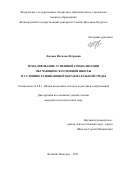Лютова Наталья Петровна. Моделирование успешной социализации обучающихся основной школы в условиях развивающей образовательной среды: дис. кандидат наук: 00.00.00 - Другие cпециальности. ФГБОУ ВО «Новгородский государственный университет имени Ярослава Мудрого». 2025. 214 с.