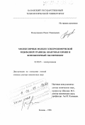 Назмутдинов, Ренат Равильевич. Молекулярные модели электрохимических межфазных границ: Квантовая химия и компьютерный эксперимент: дис. доктор химических наук: 02.00.05 - Электрохимия. Казань. 1998. 303 с.