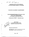 Ухоботов, Владимир Владимирович. Молодежный рынок труда на селе и его регулирование: На материалах Пензенской области: дис. кандидат экономических наук: 08.00.07 - Экономика труда. Пенза. 1998. 158 с.