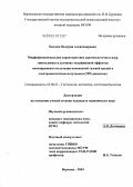Быкова, Валерия Александровна. Морфофункциональная характеристика крупноклеточных ядер гипоталамуса в условиях модификации эффектов ионизирующего излучения измененной газовой средой и электромагнитным излучением СВЧ-диапазона: дис. кандидат медицинских наук: 03.00.25 - Гистология, цитология, клеточная биология. Москва. 2004. 194 с.