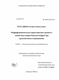 Нуралиева, Румия Сапиолловна. Морфофункциональная характеристика органов и тканей ампуллярии Pomacea bridgesii при промышленном выращивании: дис. кандидат биологических наук: 03.00.25 - Гистология, цитология, клеточная биология. Астрахань. 2009. 140 с.