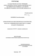 Мошненко, Елена Валентиновна. Морфологическая и цитогенетическая характеристика форм сои с пониженной фертильностью в условиях Западного Предкавказья: дис. кандидат биологических наук: 06.01.05 - Селекция и семеноводство. Краснодар. 2007. 145 с.
